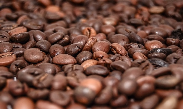 Coffee factory nets £30m investment